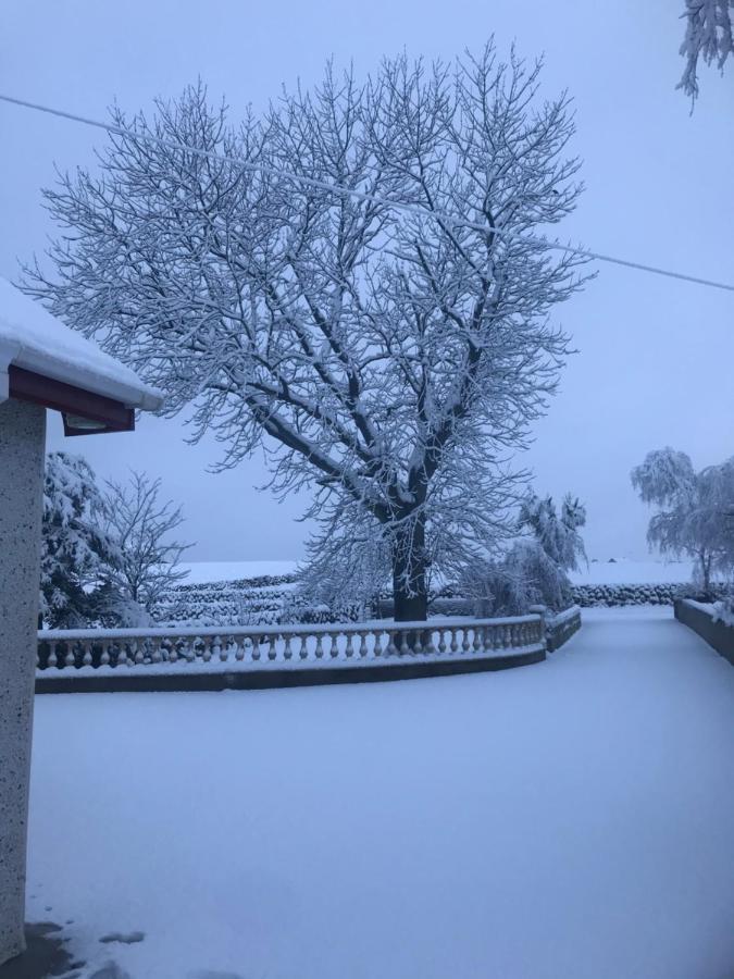 Lovely 2-Bed Cottage At The Foot Of The Mournes 뉴리 외부 사진