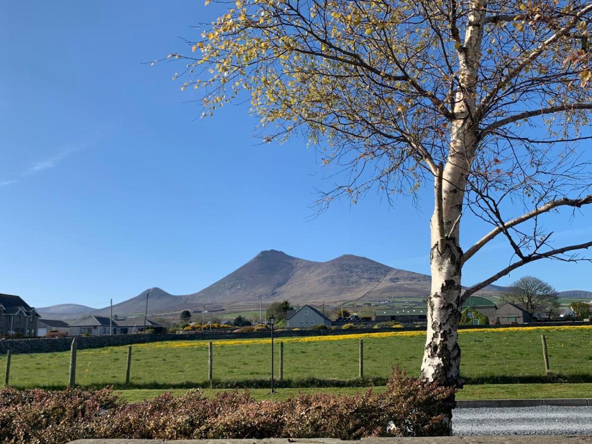 Lovely 2-Bed Cottage At The Foot Of The Mournes 뉴리 외부 사진