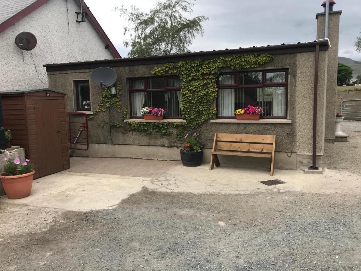 Lovely 2-Bed Cottage At The Foot Of The Mournes 뉴리 외부 사진