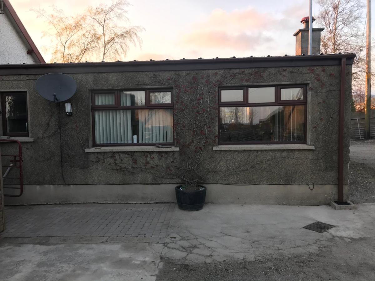 Lovely 2-Bed Cottage At The Foot Of The Mournes 뉴리 외부 사진