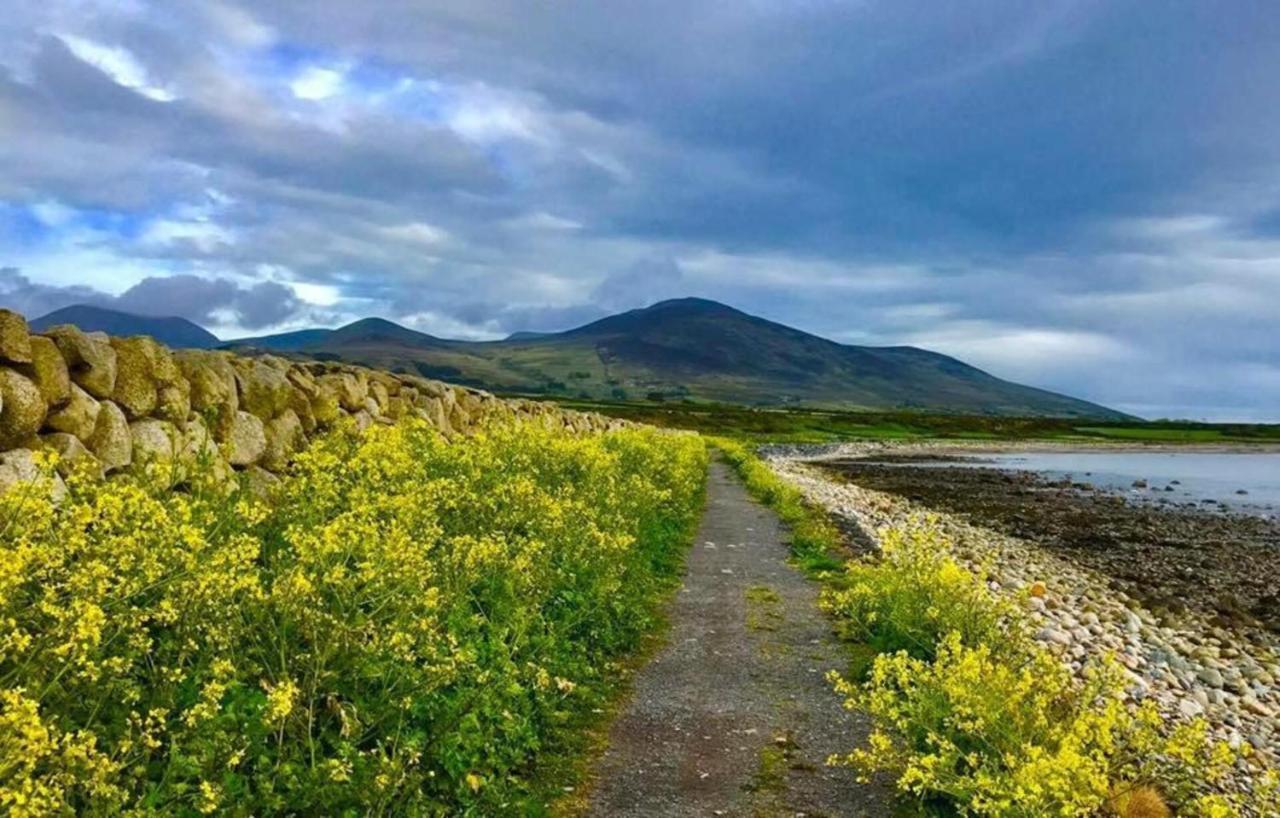Lovely 2-Bed Cottage At The Foot Of The Mournes 뉴리 외부 사진
